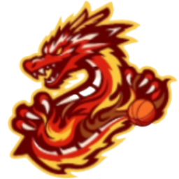 贵州猛龙 贵州猛龙